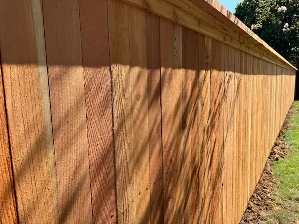 Close-up of new cedar fence boards and top cap in afternoon sun